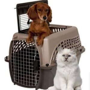 Dog & Cat IRTA Crate