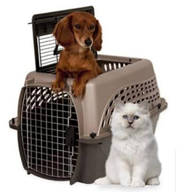 Dog & Cat IRTA Crate