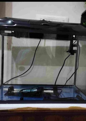 RS Electrical Glass Aquarium Tank with LED Lights and Filtration (Multicolour, RS-600B) photo review