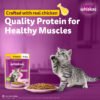 Whiskas Junior Chicken in Gravy Wet Cat Food – 28 x 80g