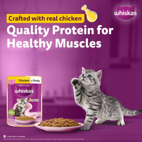Whiskas Junior Chicken in Gravy Wet Cat Food – 28 x 80g