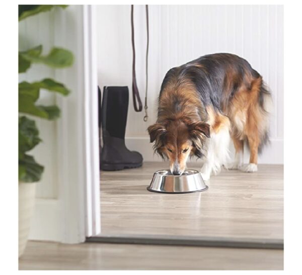 Stainless steel Dog /Cat bowl bowl no 5