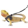 Dragon Harness And Leash Adjustable(S,M,L, 3 Pack) - Soft Leather Reptile Lizard Leash For Amphibians And Other Small Pet Animals