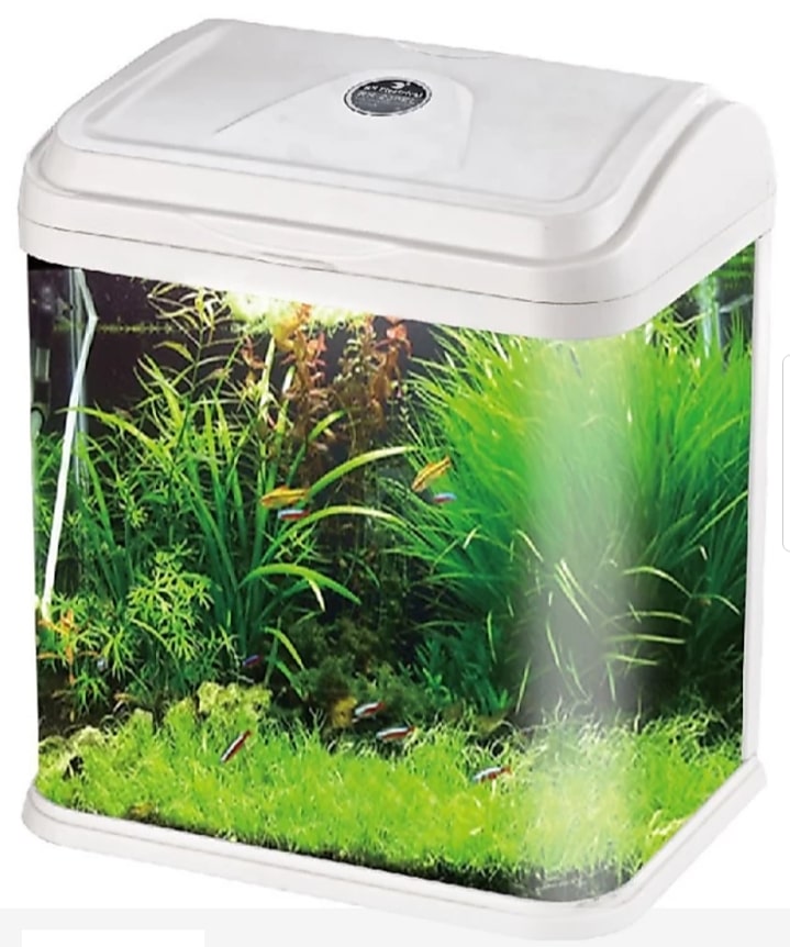 RS Electrical Glass Aquarium Tank RS-300A with LED Lights and Filtration Included, 20 L