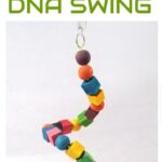 Sbt 10 DNA Swing