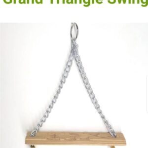 SBT 21 Grand triangle swing