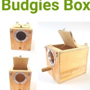 Budgies box