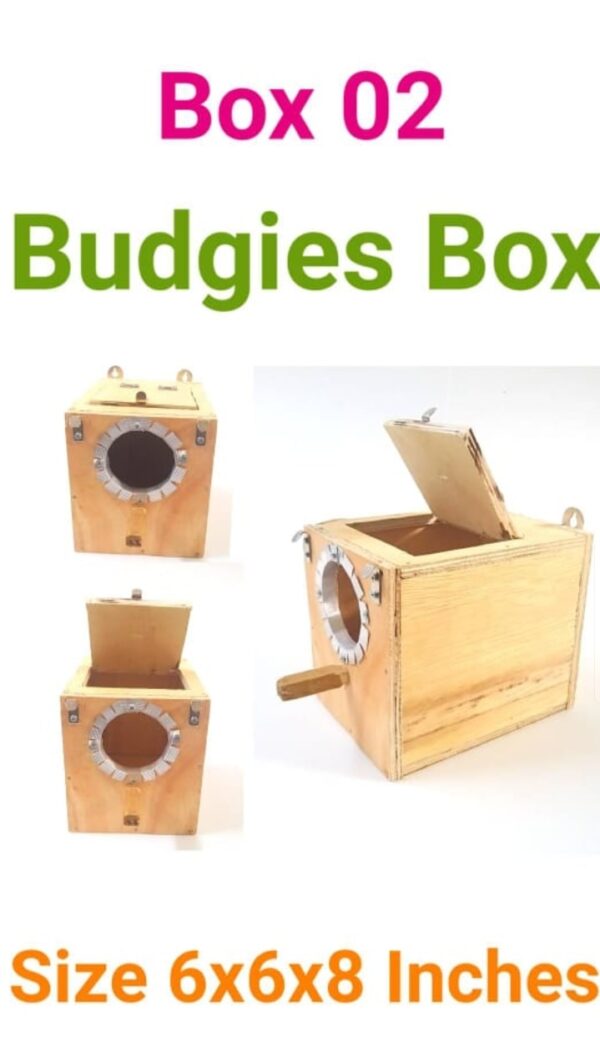 Budgies box
