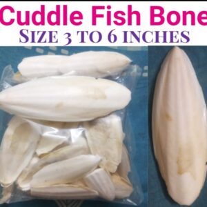 Cuttlefish bone