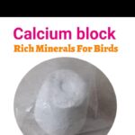 Calcium blocks