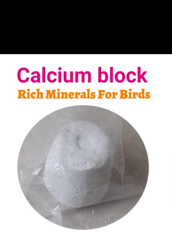 Calcium blocks