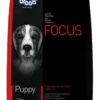 Drools Focus puppy
