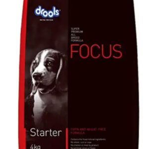 Drools Focus starter
