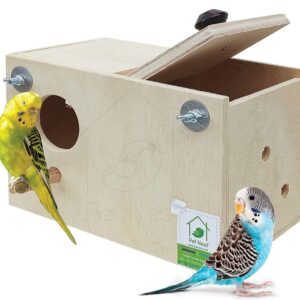 Budgies box