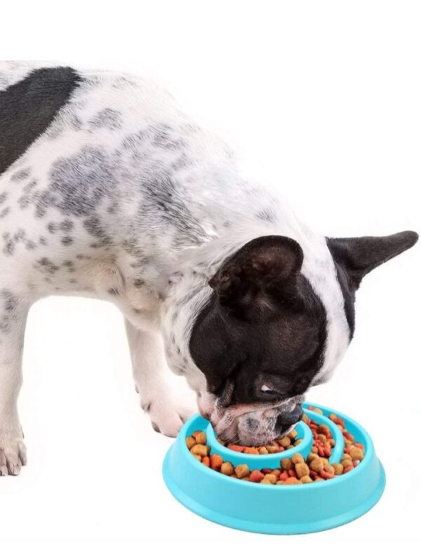 Dog Feeder Slow Eating Pet Bowl Non-Toxic Preventing Choking Healthy Design Bowl for Small Cat Dog Pet (Multi Color)