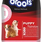 Drools Puppy starter