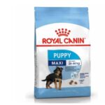 Royal Canin Maxi Puppy
