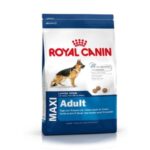 Royal Canin Maxi Adult