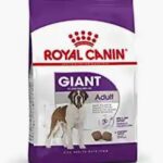 Royal Canin Giant Adult