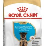 Royal Canin German Shepherd puppy 1kg