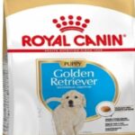 Royal Canin Golden Retriever Puppy