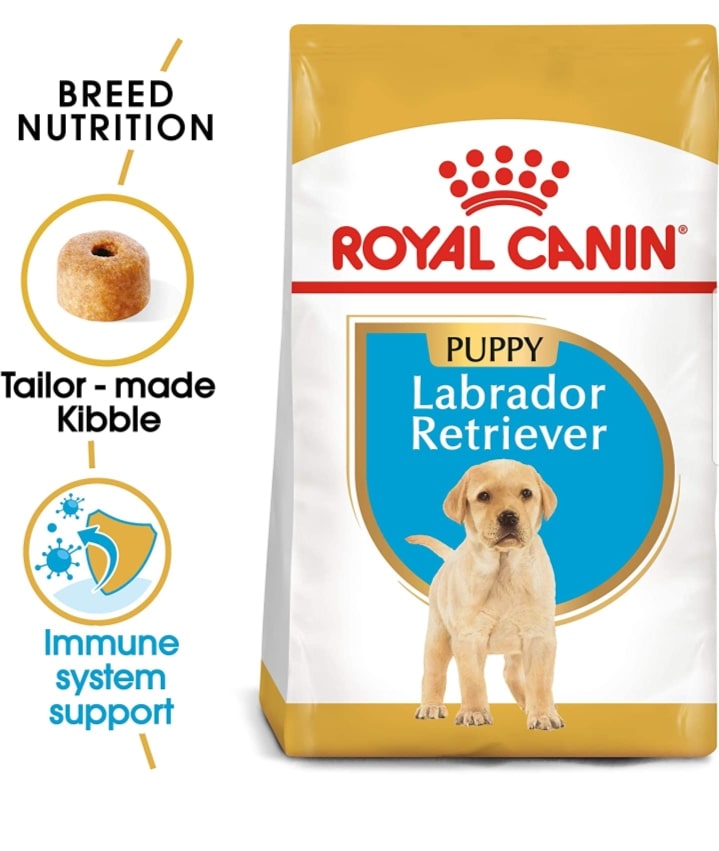 Royal canin orders maxi starter for labrador puppy