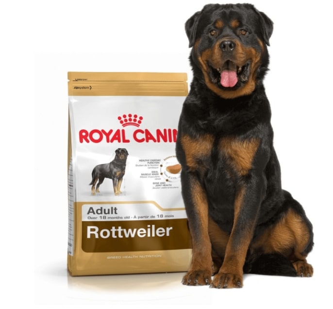 Royal canin rottweiler adult sale