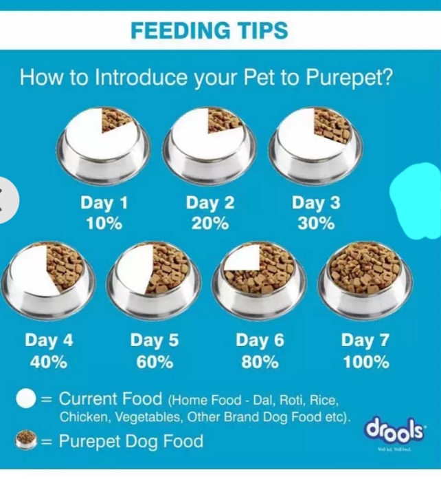 Drools Purepet chicken and milk adult