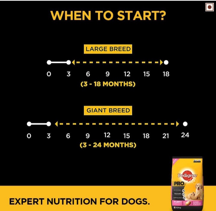 Pedigree Pro Puppy Large Breed