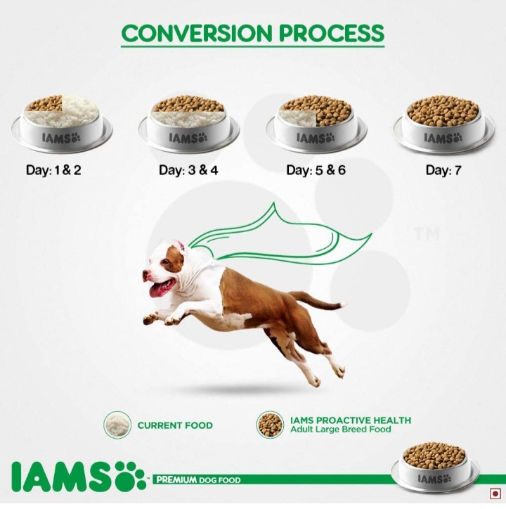 IAMs Proactive Health Adult Small & Medium Breeds Dog Food (1 Yrs+)(3 KG)
