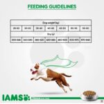 IAMs Proactive Health Adult Small & Medium Breeds Dog Food (1 Yrs+)(3 KG)