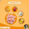 IAMS Proactive Health Puppy Small & Medium Breeds Dog Food (3 KG)