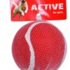 Active squeak tennis ball (4inch)