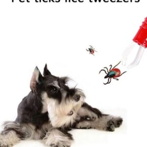 Pet ticks lice tweezer