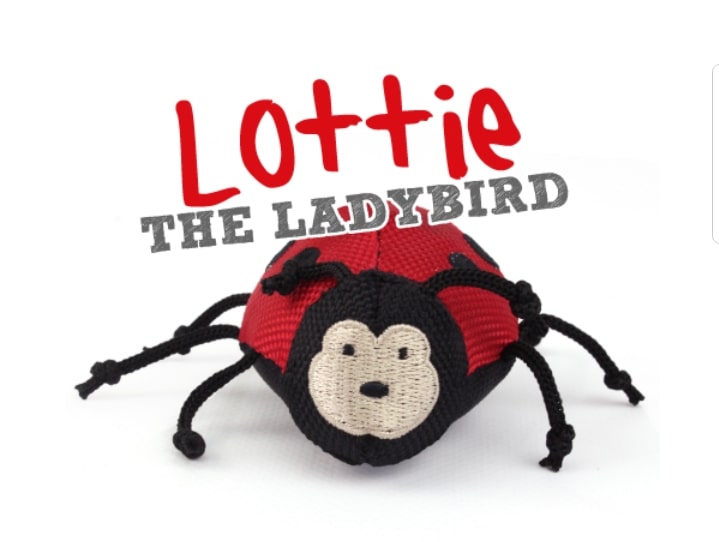 BECO LOTTIE THE LADYBIRD