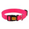 Glenand Padded Collar 1 inch Pink