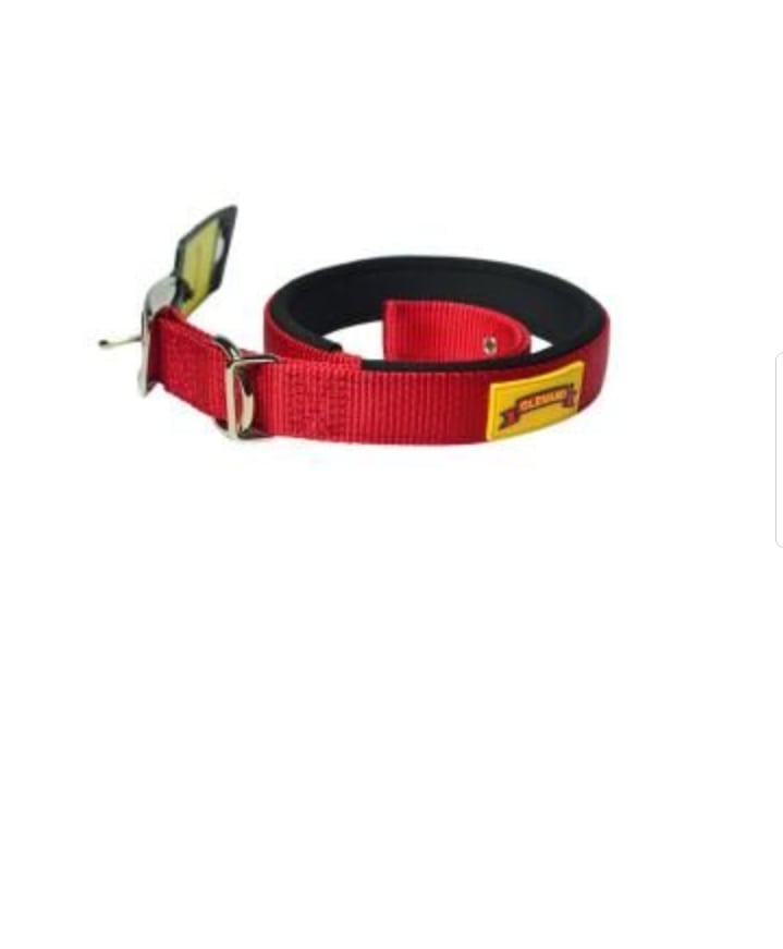 Glenand Padded Collar 3/4 Inch Red Colour