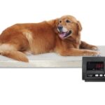 Mars Walk-On Animal Weighing Scale