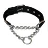 Nylon collar with choke chain 1"(Black)