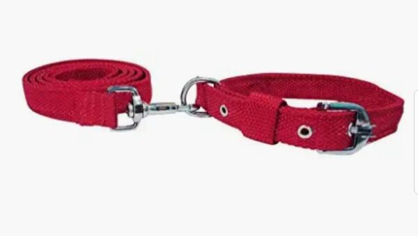 PP collar and leash set 1inch