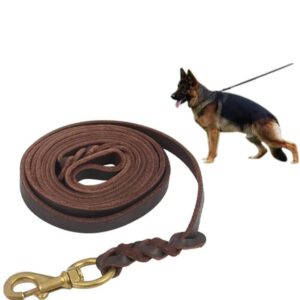 Leather dog leash 6 ft