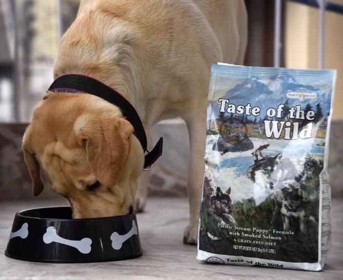 Taste of the Wild Pacific Stream Grain Free Dry Puppy Food - Smoked Salmon