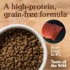 Taste of the Wild Grain Free Dry Cat Food (Trout & Smoked Salmon)