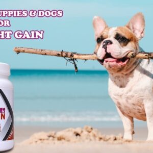 Pet Likes ADD ON Weight Gain – 5 Kg. The 3-week weight gain dog food