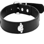 ADJUSTABLE DOG COLLAR 0.9 INCH WITH METAL DESIGNER STUD