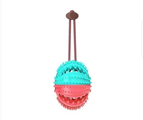 PETS TEETH CLEANING PET CHEWING TOY