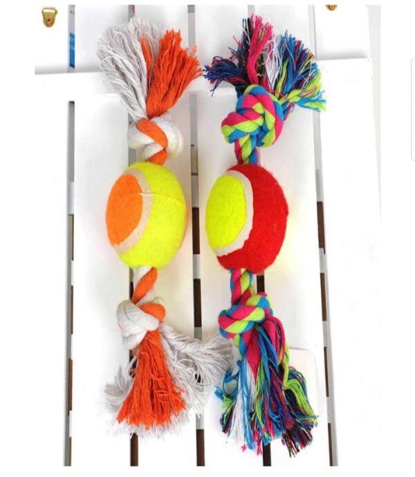 TOY ROPE FETCH WITH TENNIS BALL,