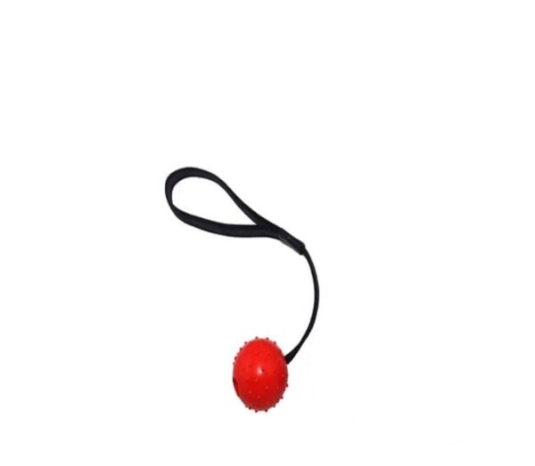 SPIKEY BALL ON A NYLON STRAP DOG ROPE CHEW TOYS