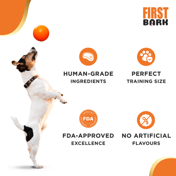 First bark chicken training Cubes treats