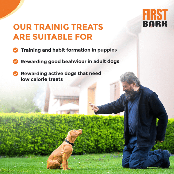 First bark chicken training Cubes treats